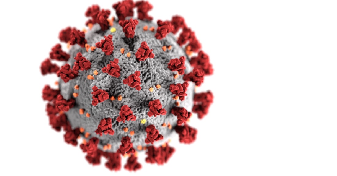 coronavirus1